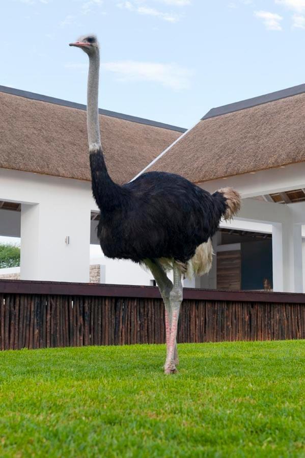 Emanya@Etosha Villa Namutoni Dış mekan fotoğraf
